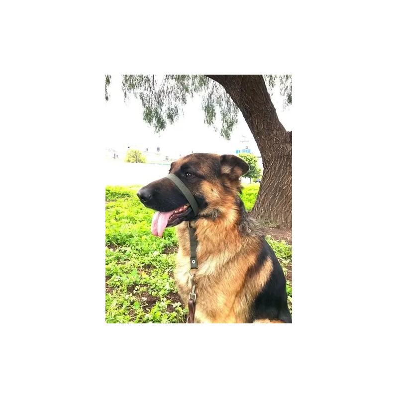 Collar Perro Halter, Gentle Leader, Halti, Uso Profesional Color Verde