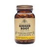 Solgar SFP Ginger Root Extract - Herbal Supplement - Vegan