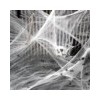Halloween Spider Web Decoration