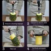 Newness Pineapple Corer Cutter, [Upgraded, Electric & Manual] Stainless Steel
