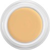 Kryolan Dermacolor Camouflage Make Up 4 g Tin Colour D2