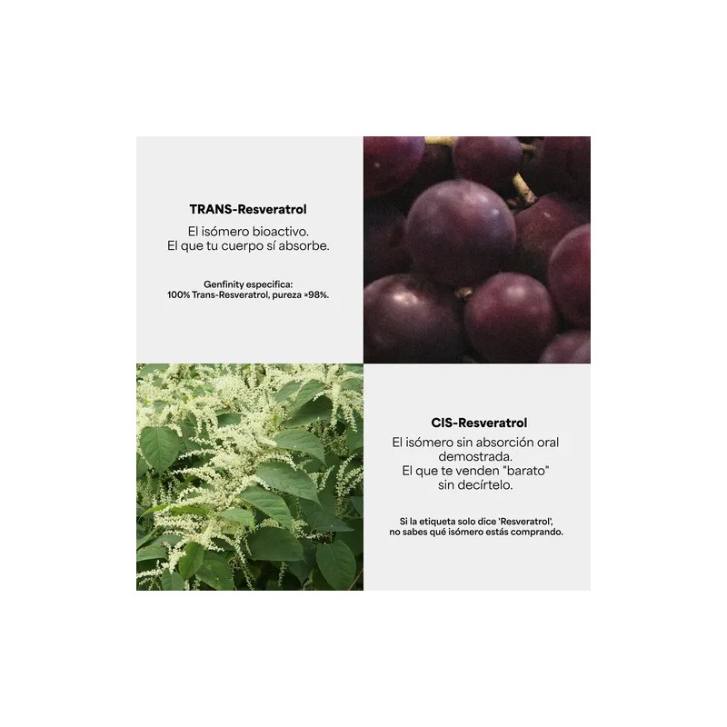 Resveratrol Ultra Pure - 1,000 Mgdosis - 100 Cáps -