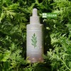 Misha [Missha] Artemisia annua Soothing Ampoule 50ml / [미샤] 개똥쑥