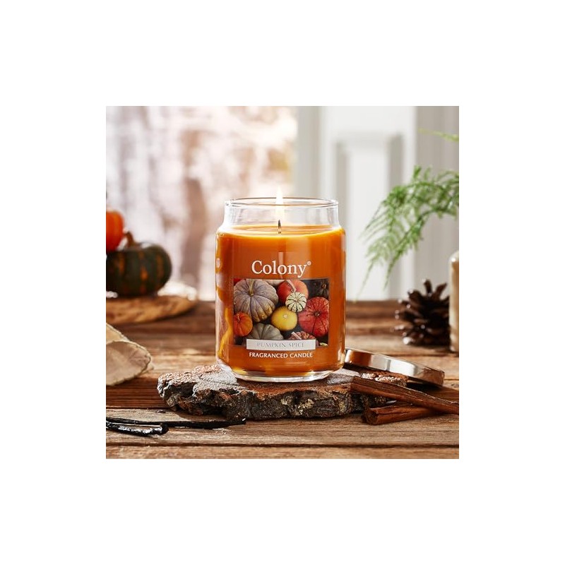 Colony Pumpkin Spice Large Jar, Up to 100hrs