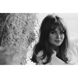 Jean Shrimpton - 24X36 Poster Banner Print #PEAG439630