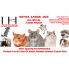 64" Extra Large Wrought Iron Chew Proof 4-Levels Ferret Chinchilla