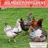 MYWSN Chicken Saddle for Hens Lightweight Chicken Apron & Back