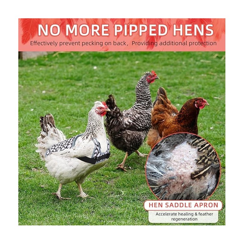MYWSN Chicken Saddle for Hens Lightweight Chicken Apron & Back