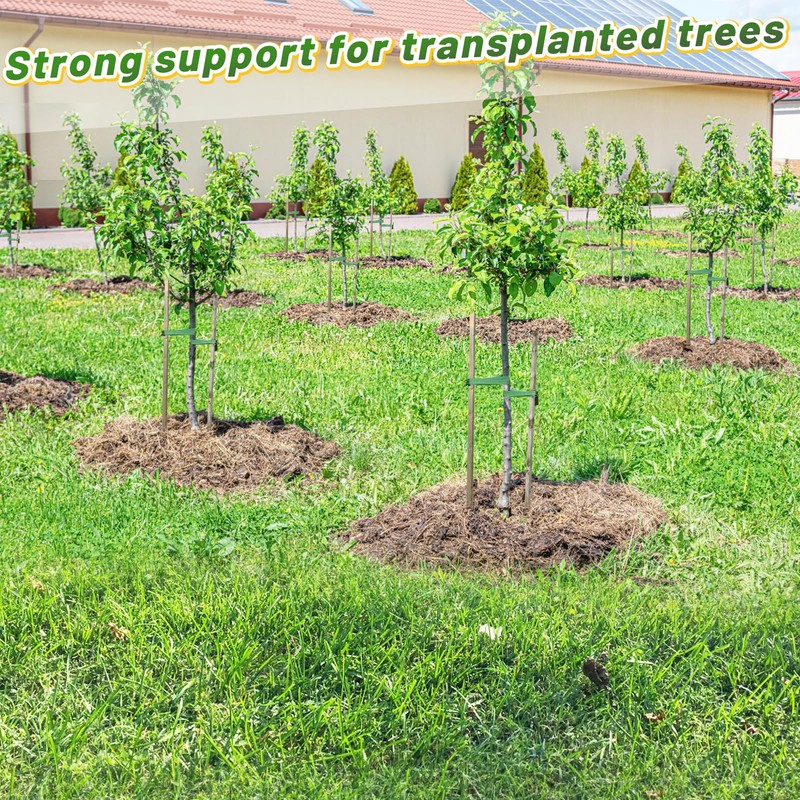 2,425 Lbs Strength Tree Straps - 216FT Tree Tie Support