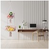 Jilskl Fruit Hanging Basket, Vegetable Basket, 2 Tier Hanging Fruit