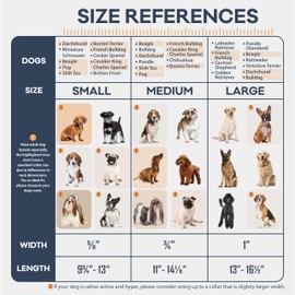 Filbert Leather Dog Collar, Genuine Leather Collar for Medium Dogs, Premium Brown Leather Dog Collar, Luxury Padded Leather Dog Collar, Strong Collar for Dogs