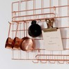 FRIADE Rose Gold Grid Hooks Rack for Wall Grid Panel,Hanging