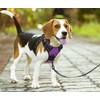 PoyPet No Pull Dog Harness with Neck Buckle, Reflective No