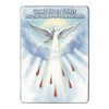 Cathedral Art Holy Spirit Plaque