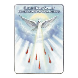 Cathedral Art Holy Spirit Plaque