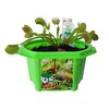Toys By Nature Character Micro Domes Fred The Ferocious Flytrap