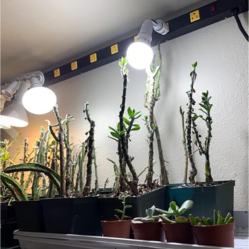 CLWHJ-360 Degrees Adjustable 2 in 1 E26/E27 Splitter Socket Adapter.