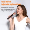 Wireless Karaoke Microphone, Stereo Bluetooth Microphone for Singing, with Noise