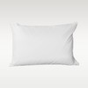 Allergy Relief Zippered Pillow Protector, Standard/Queen, 2 Pack