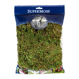SuperMoss (23801) Mountain Moss Preserved Fresh, Long Lasting Highly Absorbent Soil Topper and Amendment for Potted Plants, Fresh Green, Appx. 4 oz