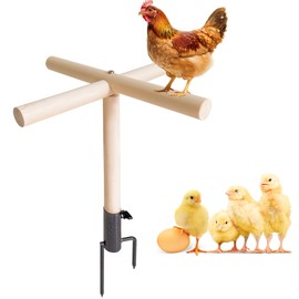 Wooden Chicken Perch Stand, Backyard Poultry Balance Beam Toy, Garden Pet Exercise Equipment
