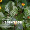 Alsiroyal Cistus & Paracress for the Eye Area