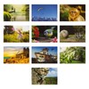 BEST PAPER GREETINGS 4x6 Blank Postcard Set - Photo Postcards