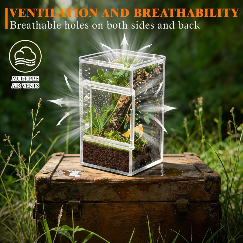 GTSEEMUU Jumping Spider Enclosure, 8 x 8 x 15 cm