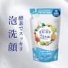 World Fruit Clean Foam Face Wash (For Refill), 13.5 fl