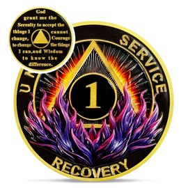 Delicate Triangle 1 Year Sobriety Coin - Purple Reborn from Fire AA Coins - Recovery Addiction NA AA Chips and Medallions - Affirmation 1-10 Prime Narcotics Alcoholics Anonymous Gifts for Men Women