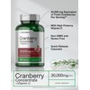 Horbäach Cranberry Concentrate Extract Pills + Vitamin C | 30,000mg