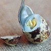 Quail Egg Spoon with Engraving - Quail Eggs - Small