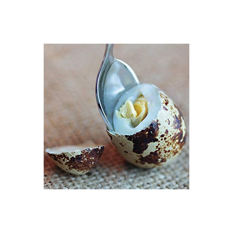 Quail Egg Spoon with Engraving - Quail Eggs - Small