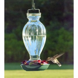 Audubon Fluted Glass Hummingbird Feeder, 20-Ounce
