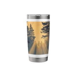 Forest With Sunbeams Vintage Landscape Graphic Stainless Steel Insulated Tumbler