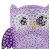 5PCS DIY Owl Diamond Painting Key Chain Acrylic Pendant Handmade
