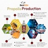 Red Bee Propolis Extract,100% Pure Extract Bee Propolis Tincture, High