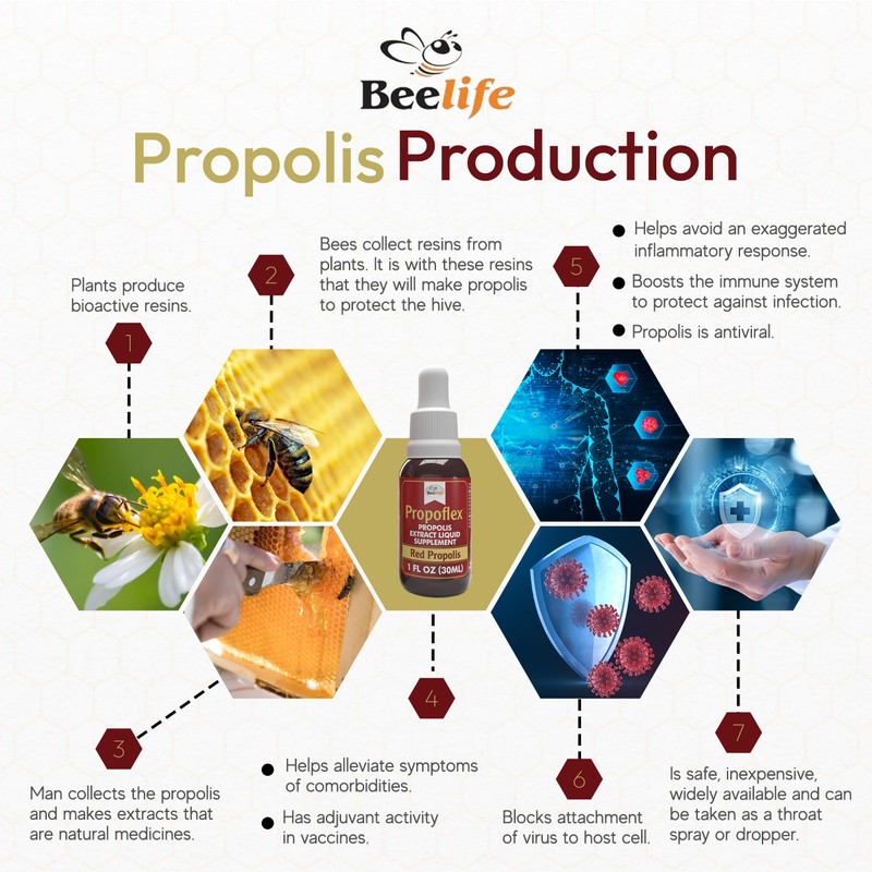 Red Bee Propolis Extract,100% Pure Extract Bee Propolis Tincture, High