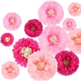 TIANTHH 誕生日 飾り付け 桜 春 飾り お花紙 12 枚セット 紙花製 壁飾り 春イベント装飾 パーティー 撮影背景 文化祭 卒業式デコレーション 結婚式記念日飾り