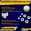 DOJA Barcelona Radiator Mounting Set 1 x 1/2 White Kit