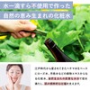Loofah Water Lotion, Nature's Four Organic, Sensitive Skin, Moisturizing, Healing