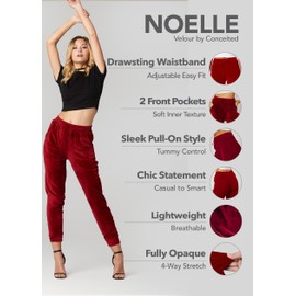 Conceited Velvet Joggers for Women - Premium Ultra-Soft Warm Velour Pants - Burgundy - Medium