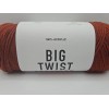 Big Twist Value Yarn 100% Acrylic Cinnamon Dye Lot #656562