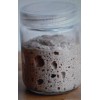 SAN FRANCISCO WHARF SOURDOUGH sourdough starter yeast from the "WHARF"