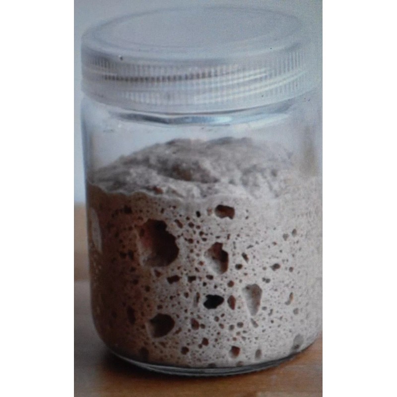 SAN FRANCISCO WHARF SOURDOUGH sourdough starter yeast from the "WHARF"