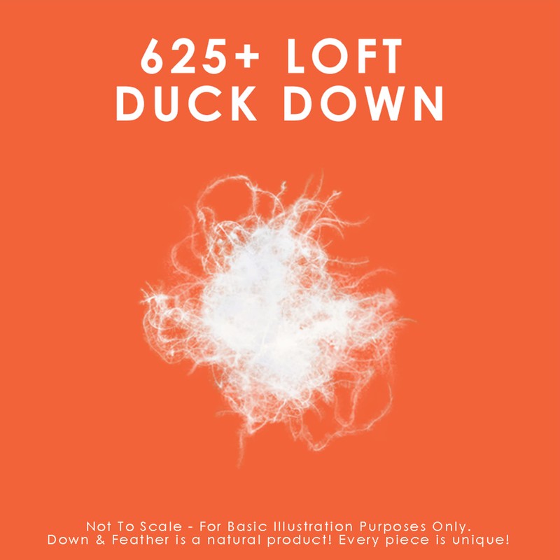 Canadian Down & Feather Co. – 1 Pack Soft 625