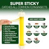 Gideal 2-Pack Yellow Sticky Fly Traps Pest Control for Indoor/Outdoor