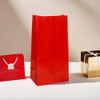 Ruby Red Party Paper Bag | 10" x 5" |