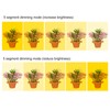 LED Plant Grow Lights Full Spectrum USB Growing Light Timing