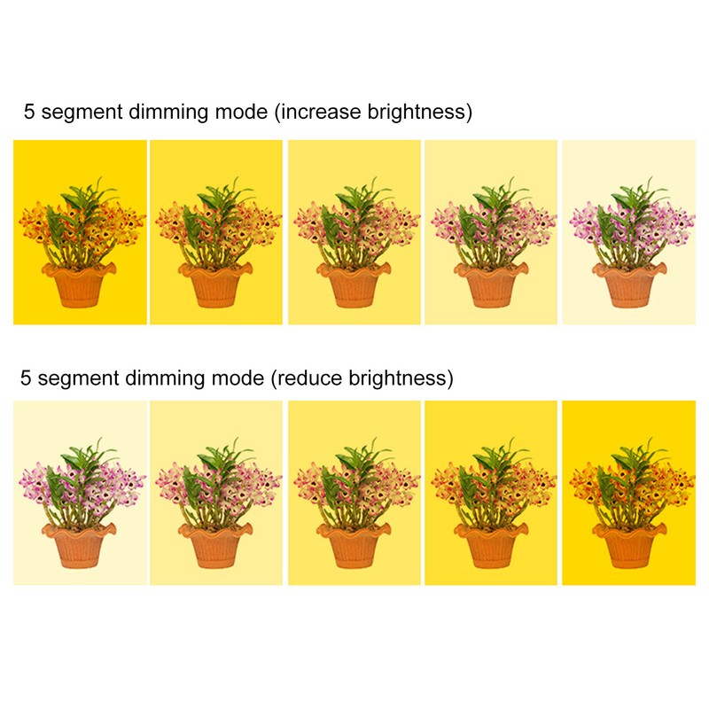 LED Plant Grow Lights Full Spectrum USB Growing Light Timing